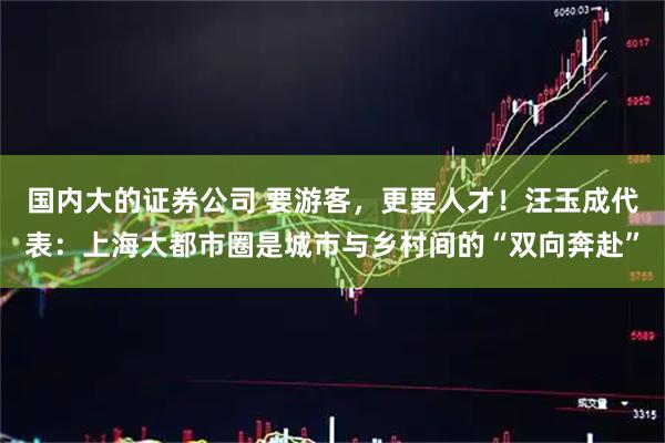 国内大的证券公司 要游客，更要人才！汪玉成代表：上海大都市圈是城市与乡村间的“双向奔赴”